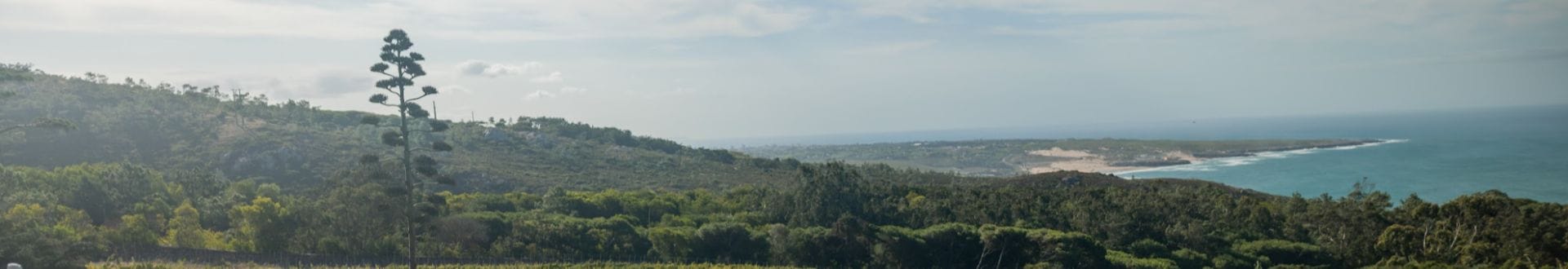 Panoramic view over the Atlantic Ocean at Quinta Vale da Roca