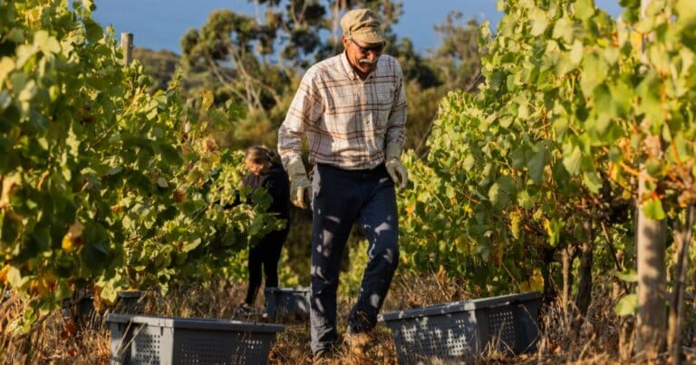 Our Quinta photo 36