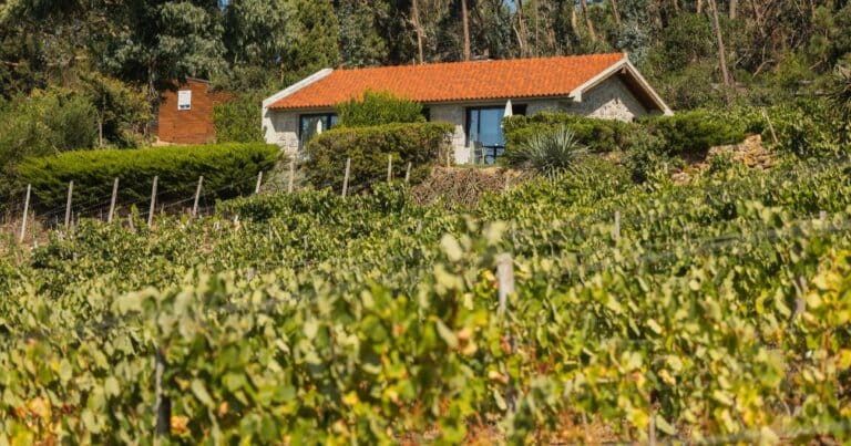 Our Quinta photo 11