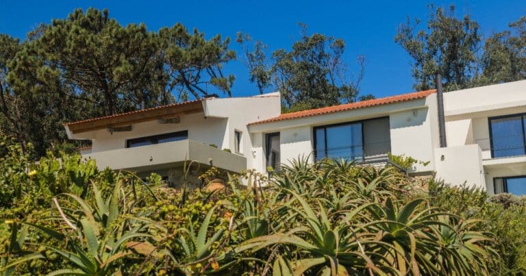 Our Quinta photo 21