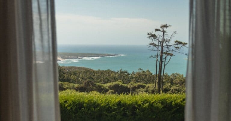 Our Quinta photo 31