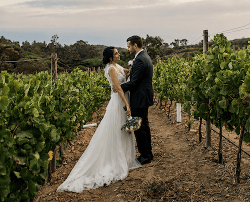 Bride and groom posing among the vineyards near Lisbon