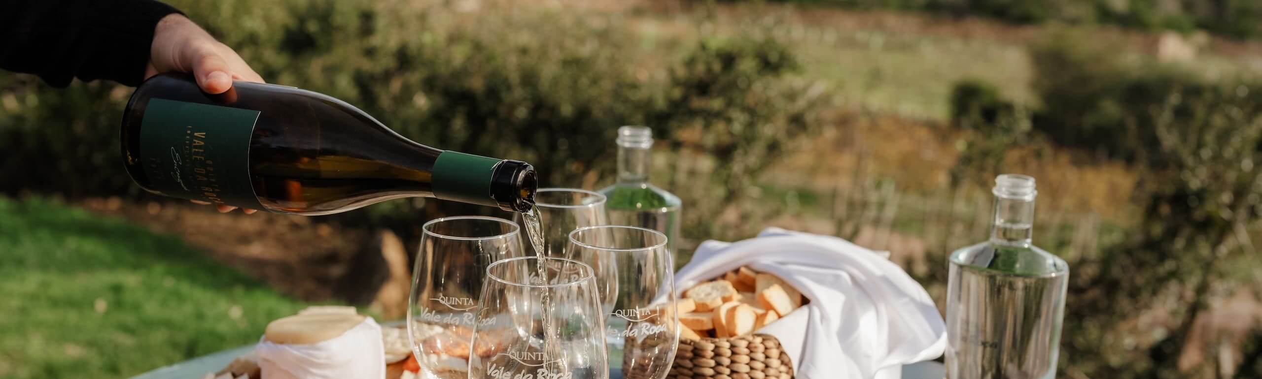 Wine tasting table with snacks and wine prepared for guests