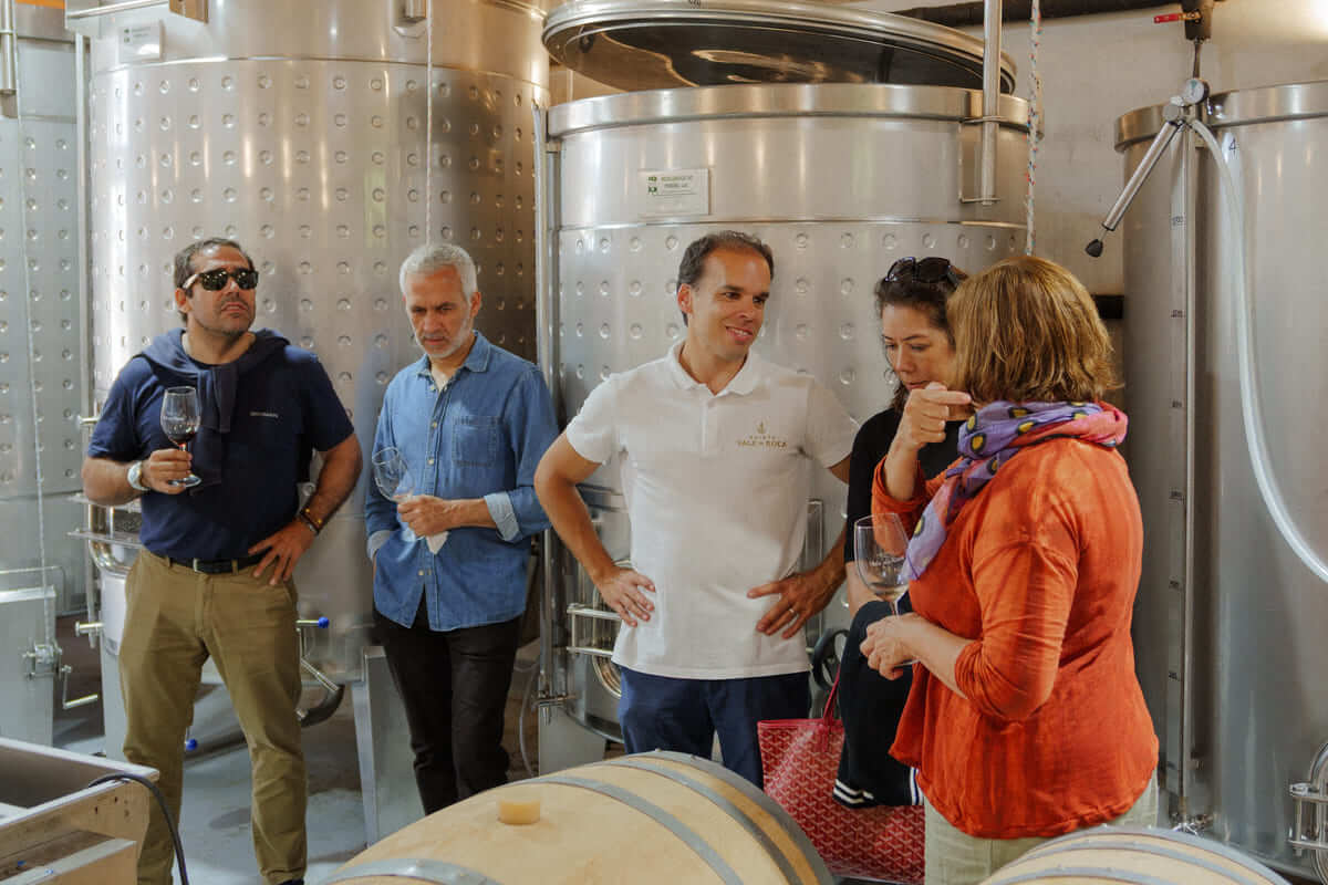 Guests listening to the winemaker during a guided wine tasting